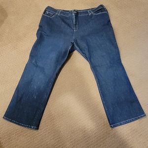 Lands End Plus Sized Jeans